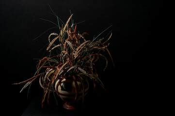 vase