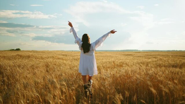 girl in rye field in sunny day, rear view, young graceful woman is raising hands up and breathing fresh air