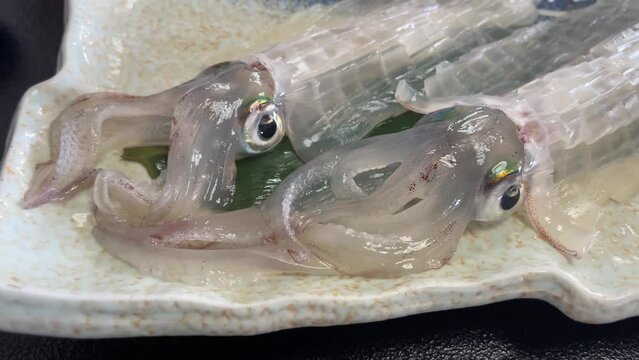 日本 イカの活き造り