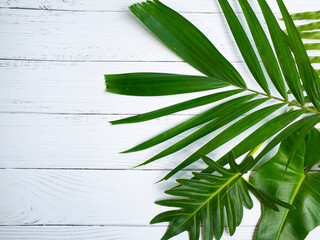 tropical leaves on white table
