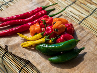 唐辛子いろいろ