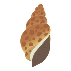 バイガイのイラスト
