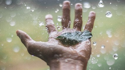 Leaf Splash In Hand
