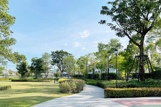 Image of beautiful and peaceful environmental small park with green trees, freshness air and curve walking pathway on summer blue sky for exercise and relax place background.
