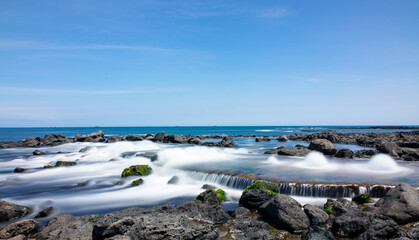 Obraz premium 바다와 꽃