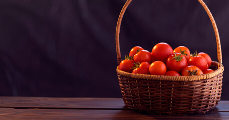 Harvest of juicy tomatoes in a basket