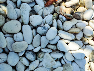 Smooth Round Pebbles Small Rocks on The Ground