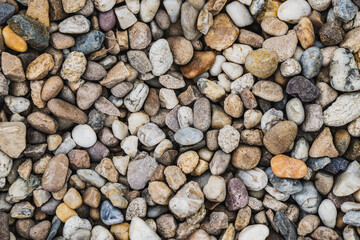 Rocks