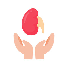 hand that supports internal organs The concept of organ donation for the treatment of patients