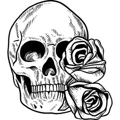 Hand drawn Skull with Roses