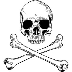 Hand drawn Skull and Crossed Bones