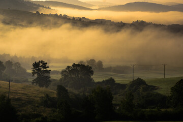 Misty morning in the mountains