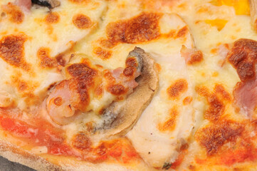 pizza with mushrooms and cheese macro photo
