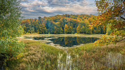 Mountain lake in the Ukrainian Carpathians. Autumn landscape with overgrown pond and cloudy sky