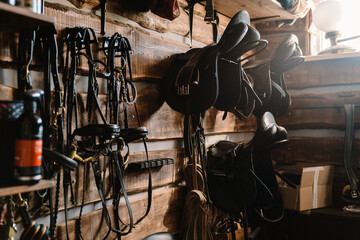 Lather horse equipment hanging on wall in stable - obrazy, fototapety, plakaty