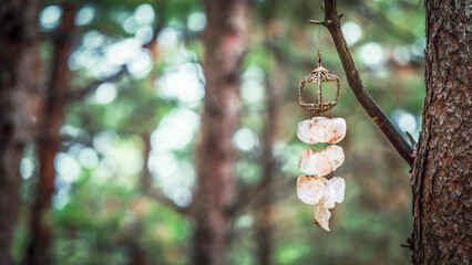 wind chime hanging on tree branch, front view