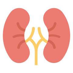 Human Kidneys