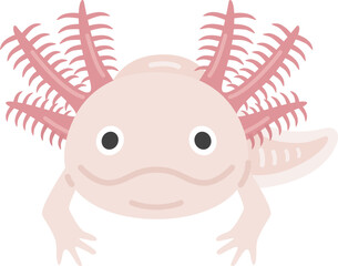 ウーパールーパーのイラスト