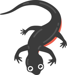 Obraz premium アカハライモリのイラスト