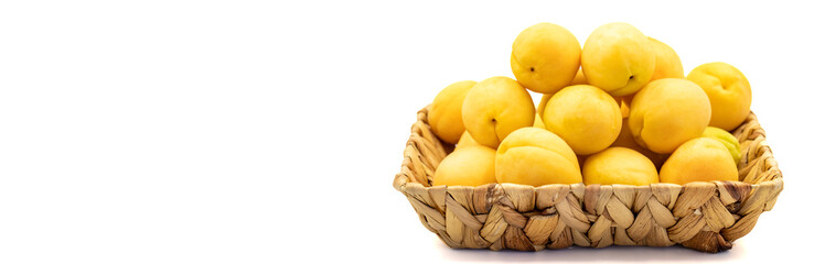 Ripe apricot isolated on white background. Fresh and juicy apricots in the basket. Organic food. Copy space. Space for text