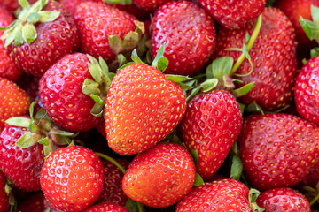 Pile of ripe strawberries. Fruit background. close up