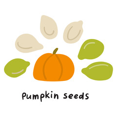Pumpkin seeds. Vector flat illustration on white background.
