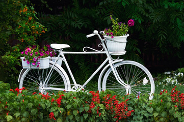 Fototapeta na wymiar A decorative white bicycle with flower pots surrounded by flower beds. White bicycle in a green garden. Wet plants and details after rain. Selective focus