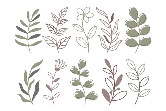 Botanical set of twigs, sprigs, herbs, branches, leaves and flowers on white background.