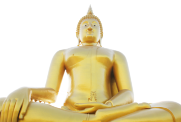 Big golden buddha png
