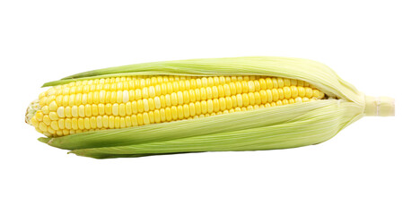 Corn png