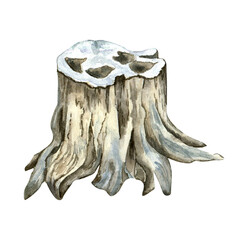 Stump, wood texture watercolor illustration isolated on white background.