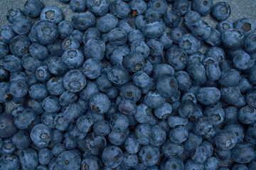 Fototapeta na wymiar Blueberry flat lay photo. Close up of blueberries texture. Top view of summer berries on a table. Design mock-up for a diet or a healthy food