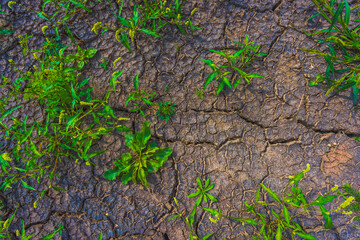 Cracked earth, metaphoric for climate change and global warming