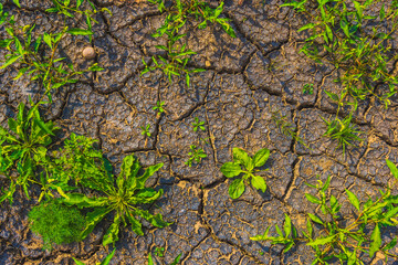 Cracked earth, metaphoric for climate change and global warming