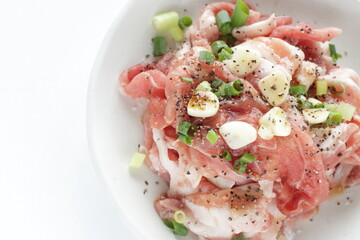  scallion and garlic with seasoning soy sauce, pepper, salt for pork cooking