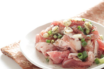  scallion and garlic with seasoning soy sauce, pepper, salt for pork cooking