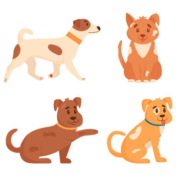 Set of cute dogs in different poses. Funny dogs isolated on white background. Flat vector illustration