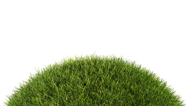 Grassy Hill Isolated On A White Background. Grass Sphere 3d Rendering. Transparent Background, PNG File