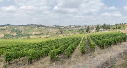Fototapeta na wymiar vineyards in hilly landscape near Ponzano in Chianti, Italy