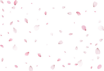 Sakura petals