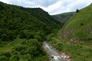 Fototapeta na wymiar Mountain landscape: a picturesque green gorge with a fast mountain river between the slopes.