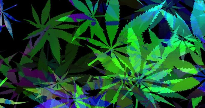 Abstract psychedelic cannabis leaf pattern motion graphic background.
