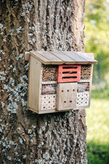 Insect hotel on the large tree trunk - bug hotel or insect house, is a manmade structure created to provide shelter for insects