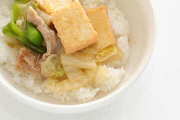 Chinese food, braised Tofu and pork with Chinese cabbage on rice