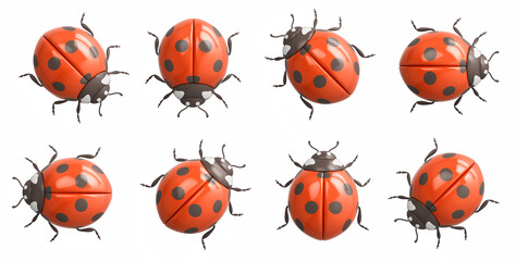 Ladybugs collection isolated on white background