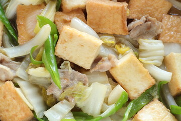 Chinese food, braised Tofu and pork with Chinese cabbage