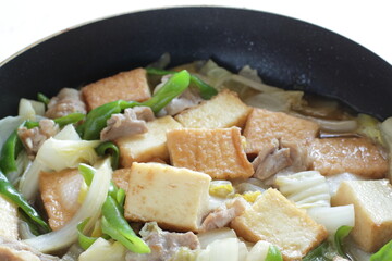 Chinese food, braised Tofu and pork with Chinese cabbage