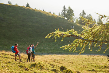 Hikers talking selfie on mountain, Mutters, Tyrol, Austria