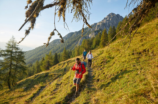 Hikers with poles hiking on mountain, Mutters, Tyrol, Austria