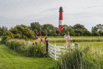 Germany, Schleswig-Holstein, Pellworm, Flowers blooming in front of rustic gate with Pellworm Lighthouse in background